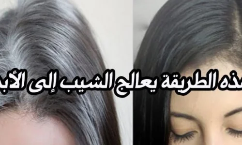 تجربتي مع الشيب