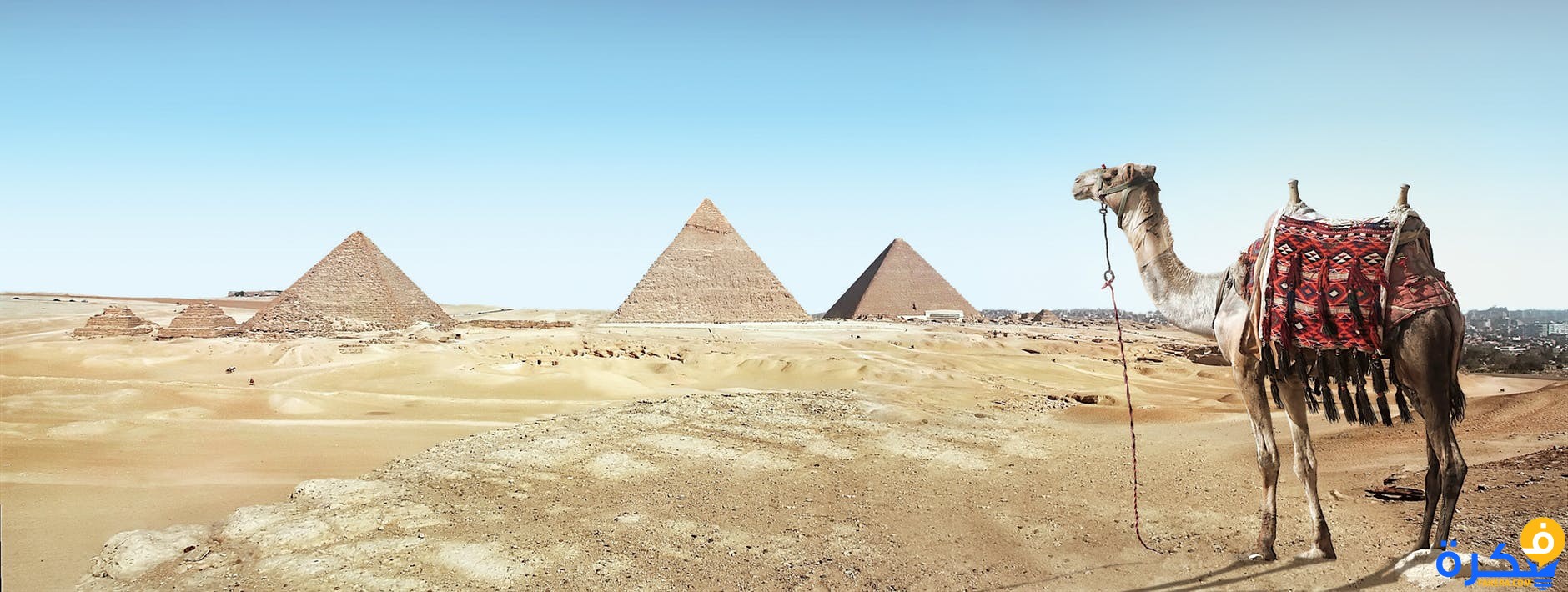 تفسير رؤية المصري في المنام