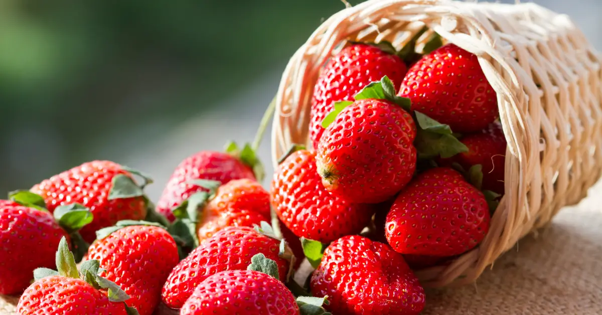 Nkọwa nke nrọ banyere strawberries site Ibn Sirin na ndị isi ntụgharị - nkọwa nke nrọ online