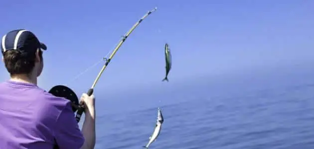 صيد السمك في المنام