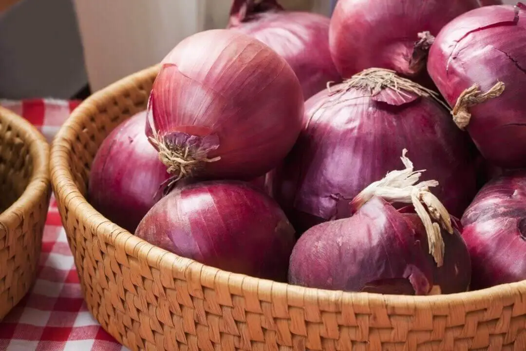 تعرف على تفسير رؤيا البصل في المنام لابن سيرين