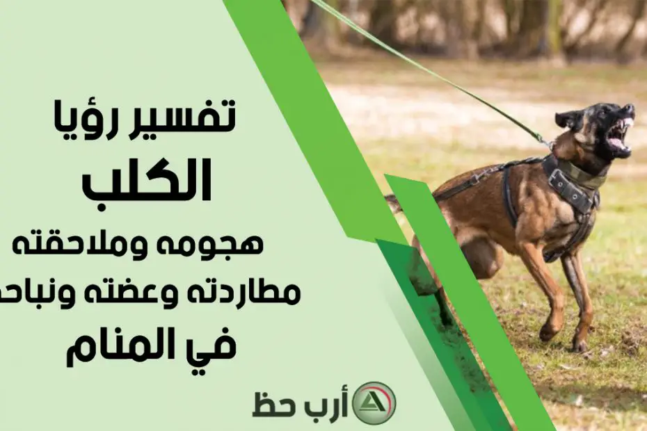 تعرف على تفسير رؤية الكلاب في المنام والخوف منها لابن سيرين
