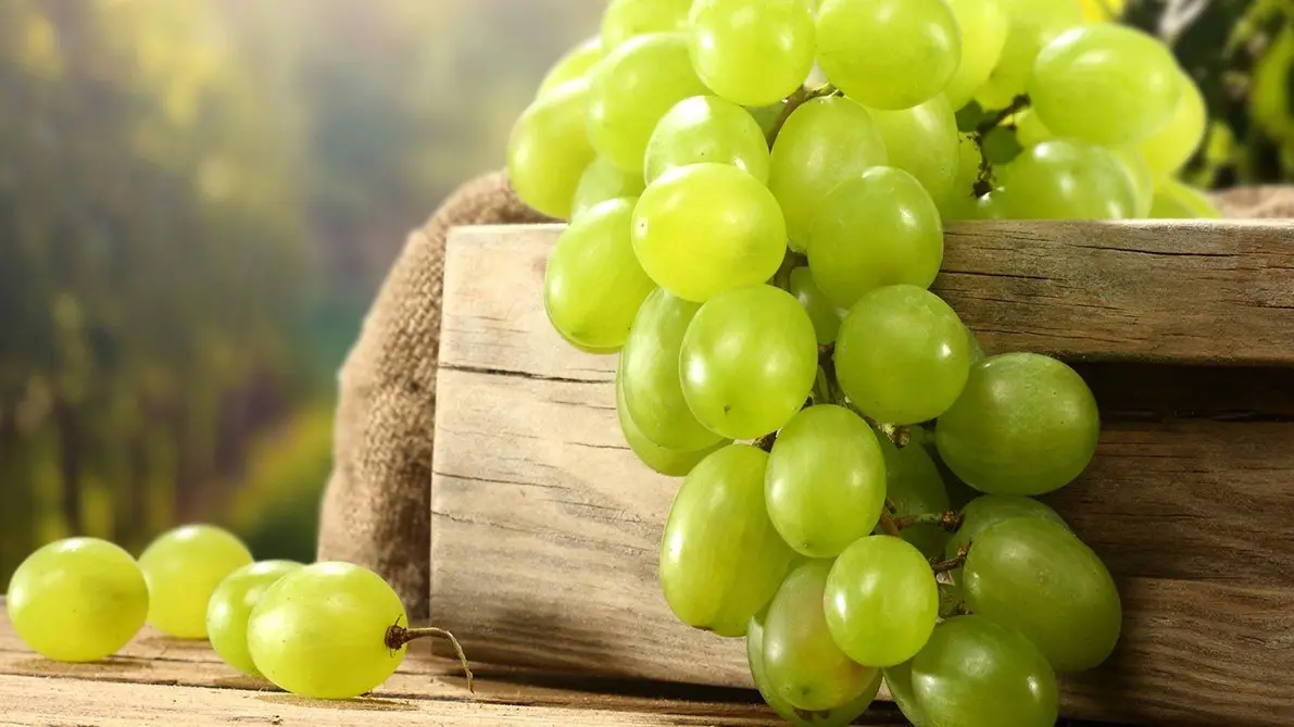 ما هو تفسير حلم اكل العنب في المنام لابن سيرين؟