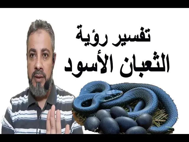 تعرف على تفسير حلم رؤية ثعبان أسود في المنام لابن سيرين