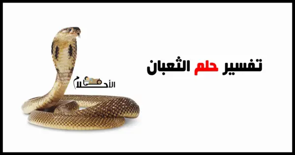 اعرف أكتر عن تفسير حلم ثعبان يهاجم ابنتي في المنام لابن سيرين