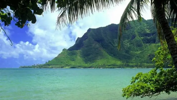 تجربتي في السفر الى تونس