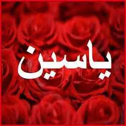 ما معني أسم ياسين