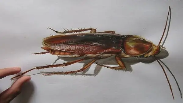 الحلم بالزهيوي