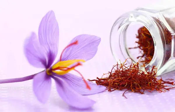 الزعفران في المنام للحامل