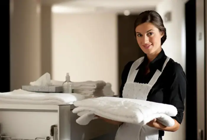 الخادمة في الحلم