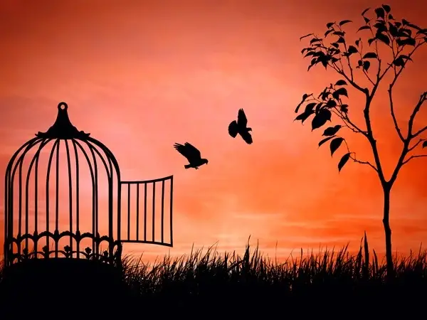 القفص في الحلم