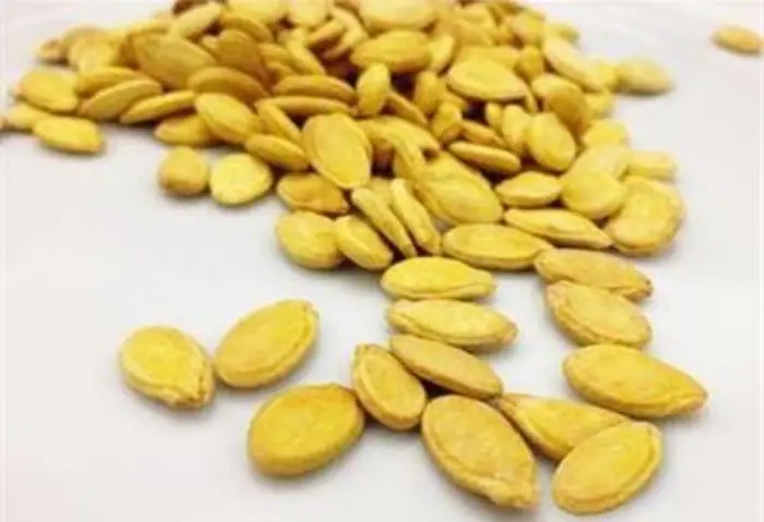 اللب في المنام للعزباء