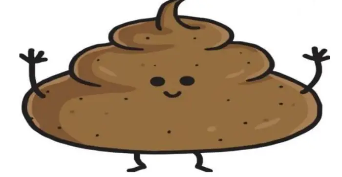 الفضلات في المنام للمتزوجة