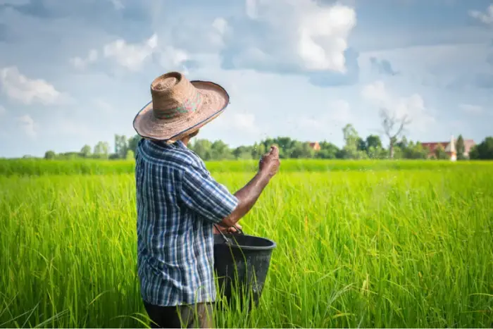 الفلاحة في المنام