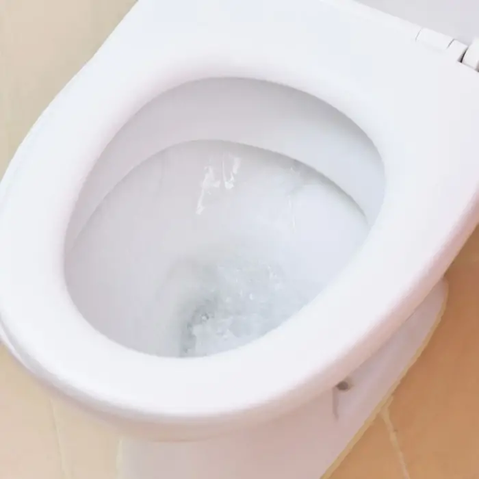 المرحاض في منام العزباء