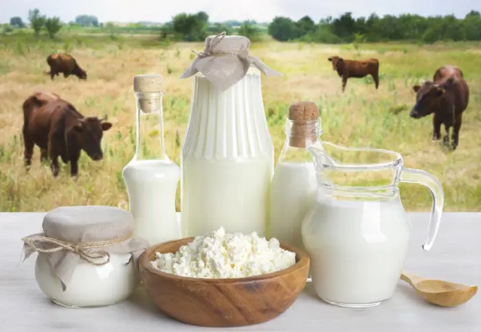 اللبن في منام المتزوجة