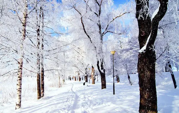 تفسير حلم نزول الثلج من السماء لابن سيرين