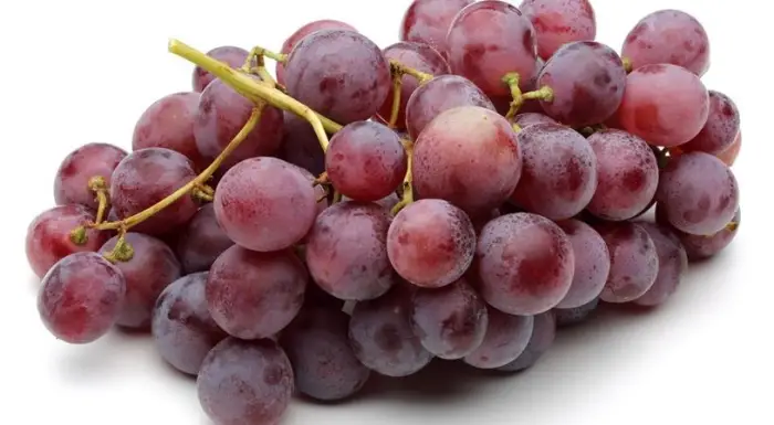 قطف عنب في المنام