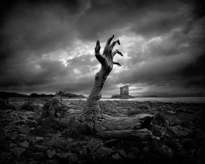 تفسير رؤية الموت في المنام